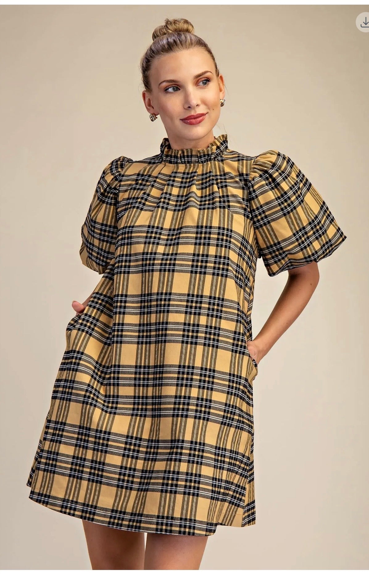 Ruffle Neck Puff Sleeve Dress
