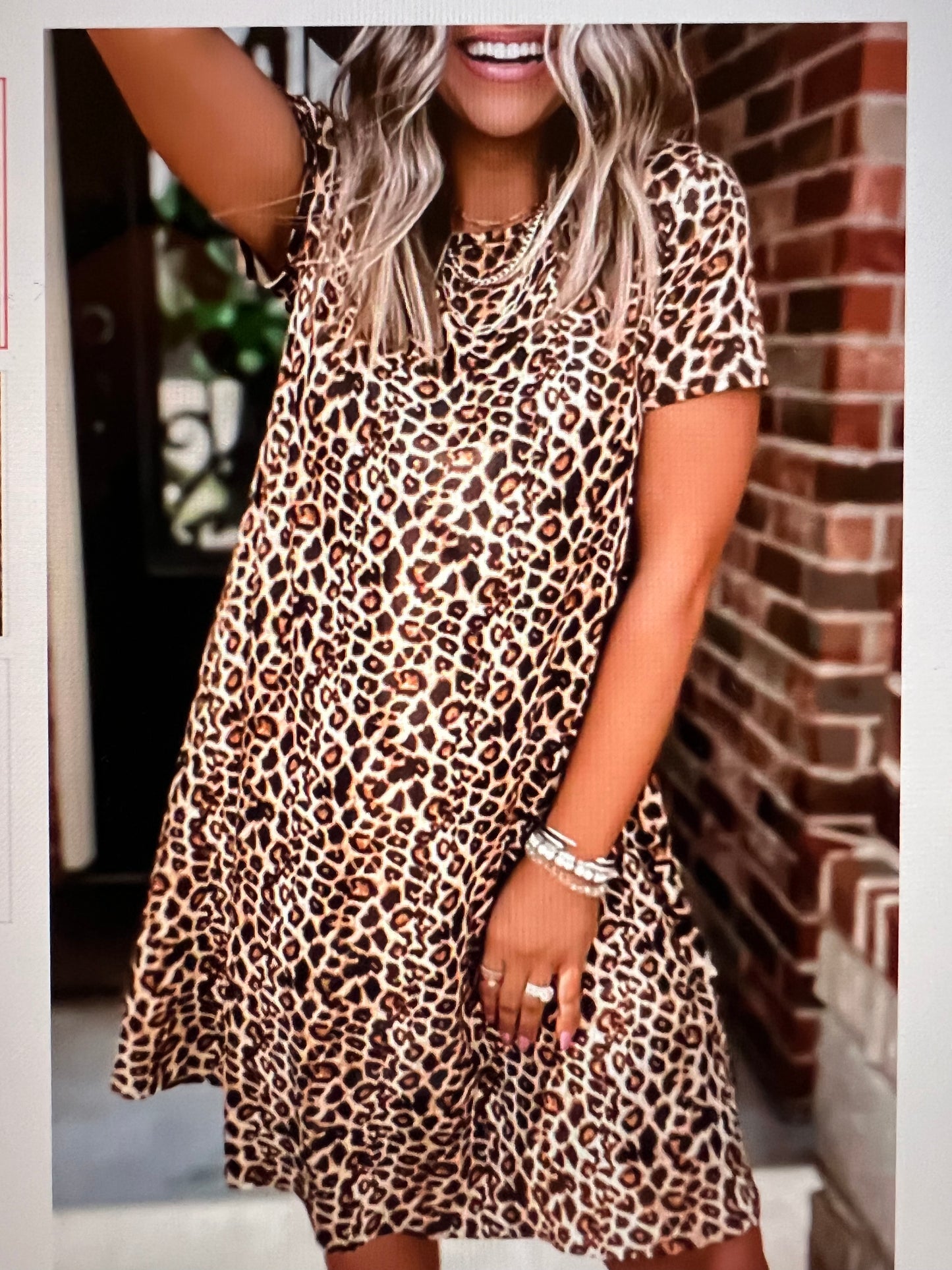 Leopard Print A-Line Dress