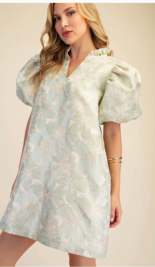 Ruffle Puff Sleeve Mini Dress