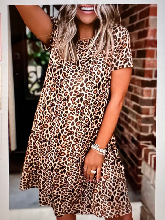 Leopard Print A-Line Dress