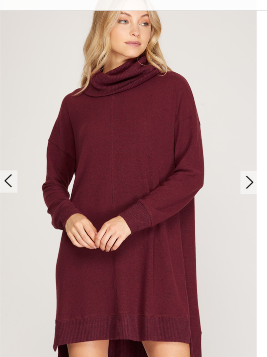 Long Sleeve Cowl Neck Knit Dress